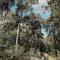 Hunter Valley Retreat