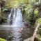 Big Island Waterfall Home Entire 2 bed 1 bath - Ninole