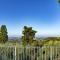 Casale Belvedere L’Ulivo e La Terrazza