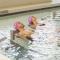Oassium Hotel - Adults Only