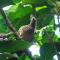 Green House Tarapoto