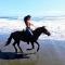 Blue Maverick Retreat - Secluded Nature Escape - 4WD Access Required