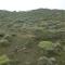 Serengeti Woodlands Camp