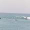 Secret Swell