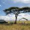 Serengeti Sametu Camp - Parque Nacional Serengeti