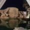 Il Trullo al Mare -Trullo by the sea- Great Privacy