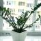 OSapart Comfortable apartment in a complex Great Britain - 利沃夫