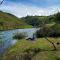 Birches Cottage & the Willows Garden Room - Underberg