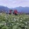 Thao Ly Homestay Mai Chau