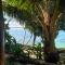 Island View Cottages - Luganville