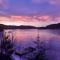 In Love With Norway - Larvik