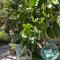 Fantastic villa in the bay of Cannes, 5 minutes from the beach - with private pool - Mandelieu La Napoule