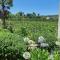 The Vineyard Country House - Montagu