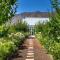 The Vineyard Country House - Montagu