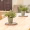 Taitung Bear Station Easy Stay