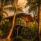 Ocean Forest Ecolodge