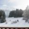 Residence for 12 persons Chalet Crestas-Lenzerheide - Lenzerheide/Lai