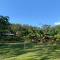 CHOCLINO ECOLODGE -Bungalows con Piscina privada, Mirador y Tours en la selva
