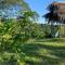 CHOCLINO ECOLODGE -Bungalows con Piscina privada, Mirador y Tours en la selva