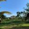 CHOCLINO ECOLODGE -Bungalows con Piscina privada, Mirador y Tours en la selva