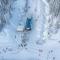 Towering Pines Chalet Comfortable and Cozy Chalet with Spectacular Views - Биг-Уайт