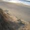 Unbeatable Beach Front Access 40m - Star Tour Option