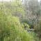 Eco moments