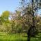 gite d'Albertine - Ully-Saint-Georges