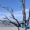 Harbor Island M118 - Oceanmarsh Subdivision