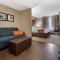 Comfort Suites Bridgeport - Clarksburg - Бріджпорт