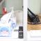 LikeU Guest house - Seul