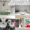 MSHome - Apartamento Térreo com Varanda e Mobiliado - 若昂佩索阿