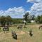 Lodge on Watering Hole , Zebula