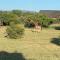 Luna Piena 19A Zebula golf course and spa resort