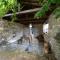 Aronia Stone House