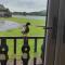 Tegid Lodge- Pine Lake Resort
