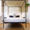 Domus 19
