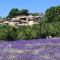 Gîte St Roch en Luberon - Castellet