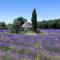 Gîte St Roch en Luberon - Castellet