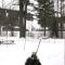 Attitash Mountain Village Studio - Slope View - Ski - Storyland - بارتليت