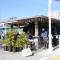 Anna Maria Island Beach Palms 6B