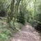 Tunnel Cottages at Blaen-nant-y-Groes Farm - Aberdare