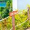 Marina del Sol Resort & Yacht Club - Busuanga