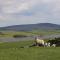 Moor View