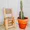 cactus surf house
