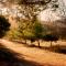 Casa Mayoral B&B Pet friendly
