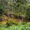 Rain Forest Inn - Ringlet