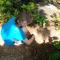 Dambulla Sun Vsh Holiday