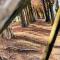Shire Homestay
