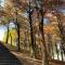 Shire Homestay